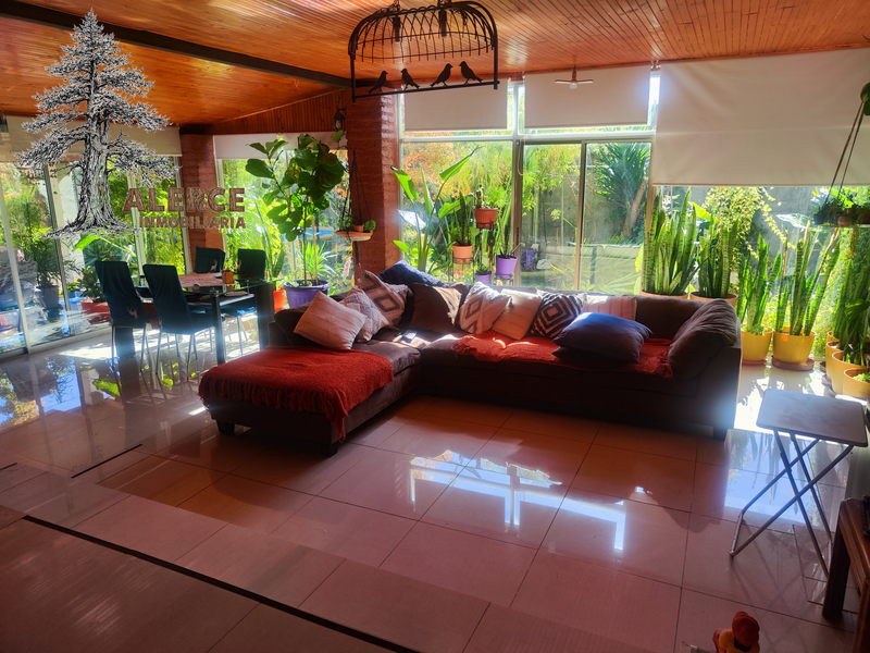 | CASA + CABAÑAS CON PISCINA EN EL ABRA, REQUÍNOA – EL REFUGIO DE MARIO — imagen 44 en Requínoa | Alerce Inmobiliaria