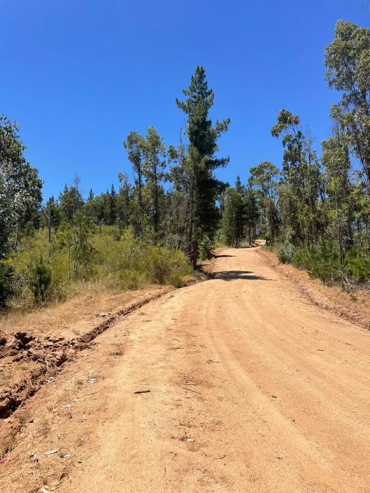 Los Aromos de Tilicura Vichuquén — imagen 3 en Vichuquén | Alerce Inmobiliaria