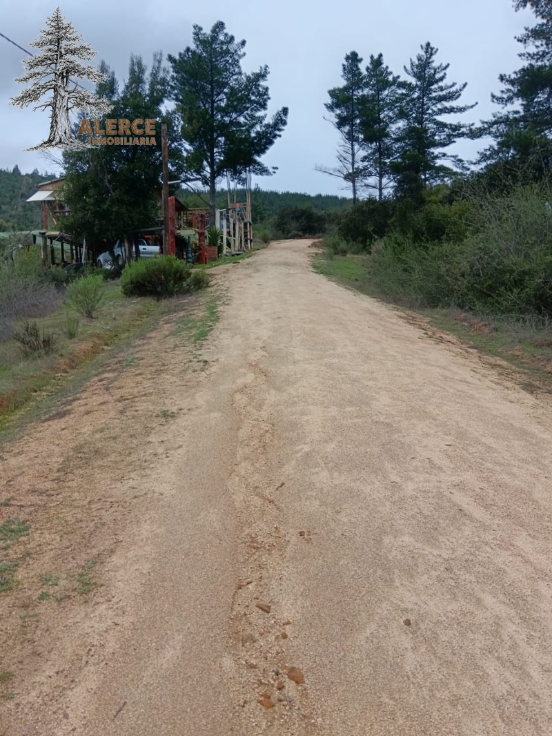 Parcela de 5.000 m² con casa amoblada en Hualañé – $25.000.000 — imagen 19 en Hualañé | Alerce Inmobiliaria