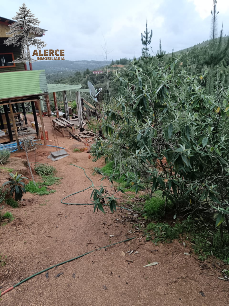 Parcela de 5.000 m² con casa amoblada en Hualañé – $25.000.000 — imagen 2 en Hualañé | Alerce Inmobiliaria