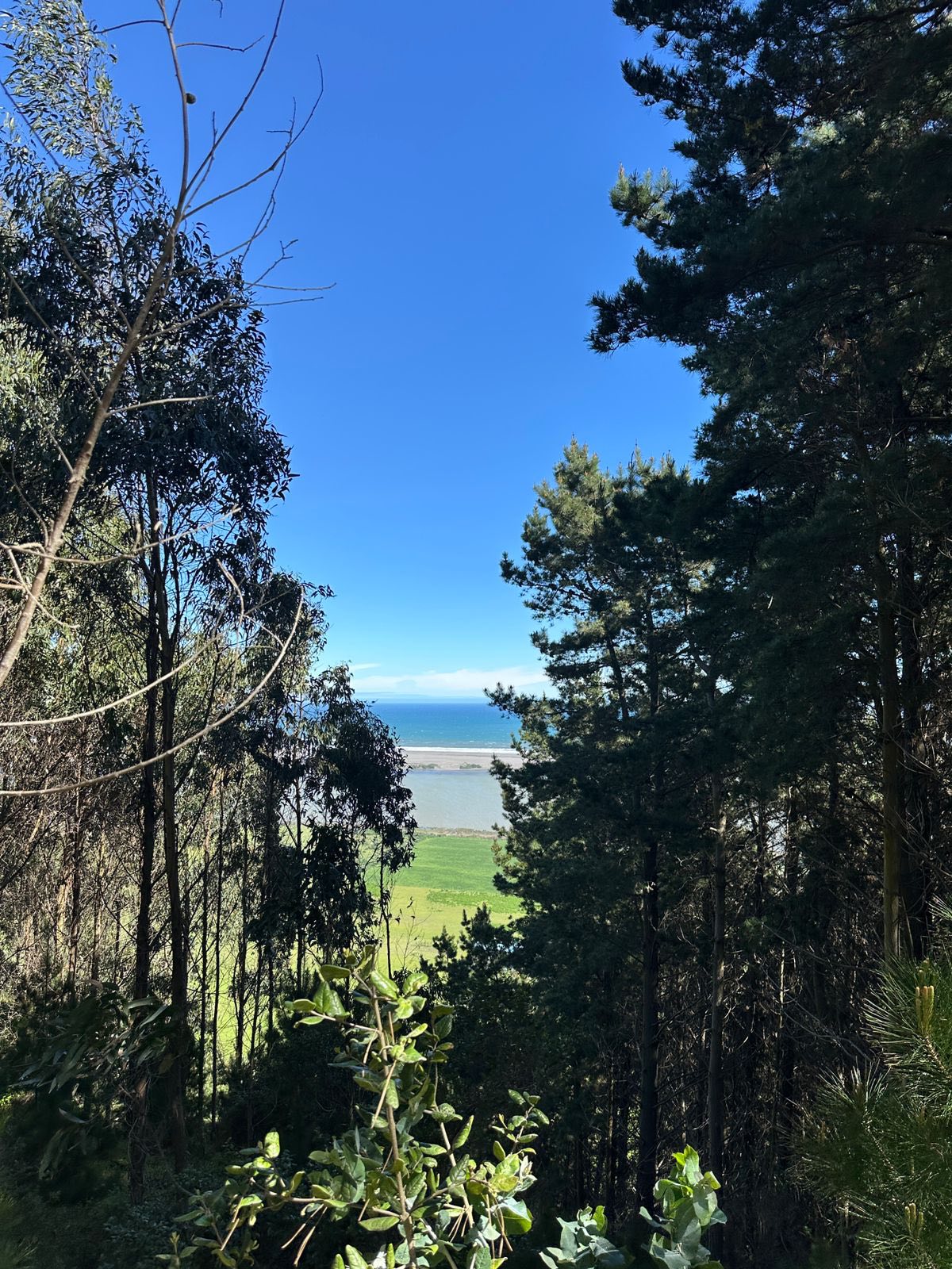 Parcelas Mar de Iloca – Sector Los Cuervos, Licantén, Maule — imagen 5 en Licantén | Alerce Inmobiliaria