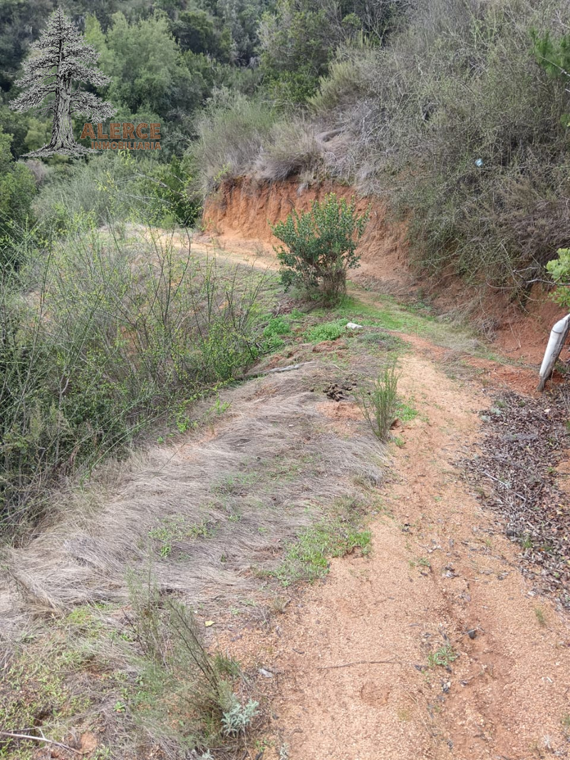 Parcela de 5.000 m² con casa amoblada en Hualañé – $25.000.000 — imagen 23 en Hualañé | Alerce Inmobiliaria